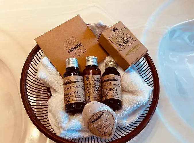 Guest house Casa Jasmine Brasov