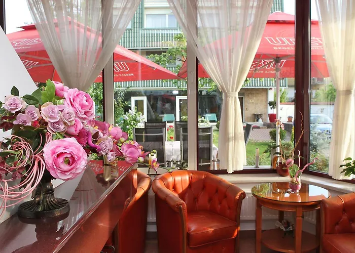 Guest house Casa Jasmine 4*