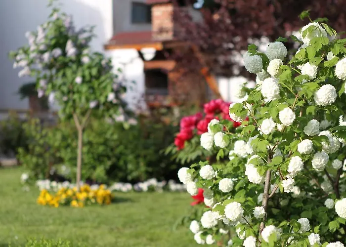 Guest house Casa Jasmine